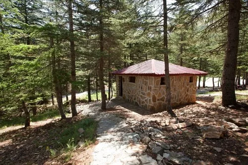 Yavşan Yaylası — Orman içindeki taş yapı