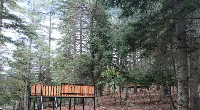 Yavşan Yaylası — Orman içinde ahşap platform