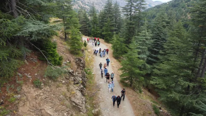 Yavşan Yaylası — Sedirler arasındaki yürüyüş yolu, havadan