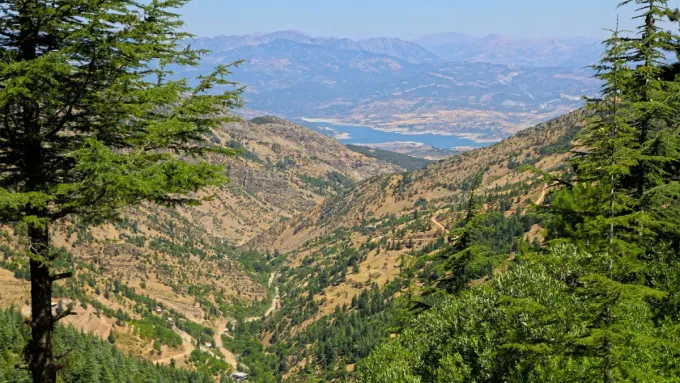 Yavşan Yaylası — Sedirler arasından Sır Barajı ve dağ manzarası