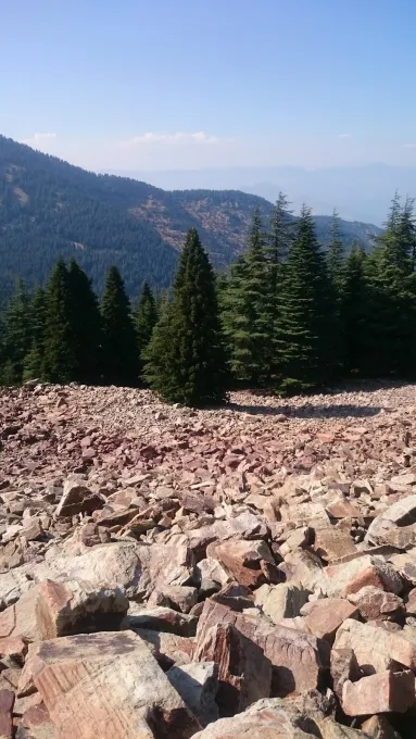 Yavşan Yaylası — Taşlık yamaçtan sedir ormanı