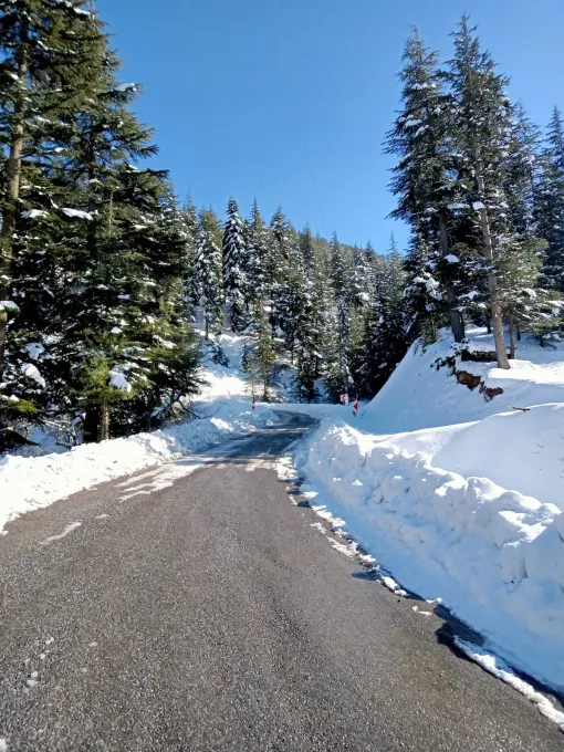 Yavşan Yaylası — Karlı orman yolu
